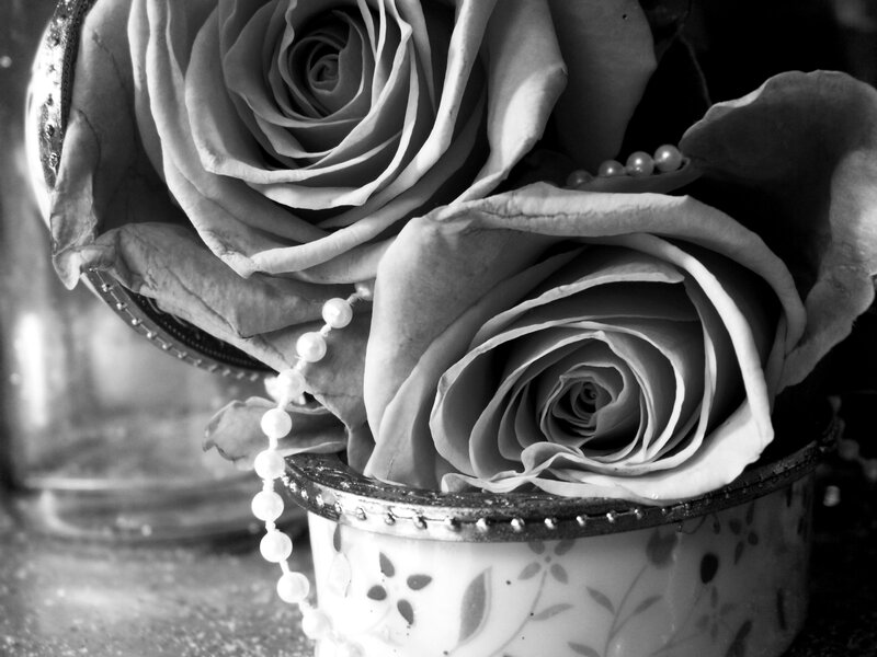 Dried Roses in Vase — Black
