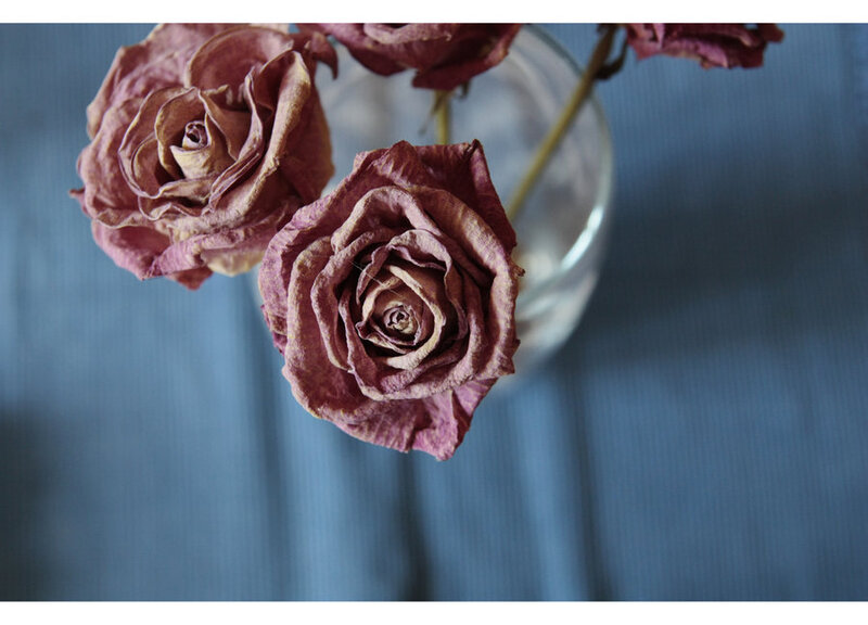Dried Roses in Vase — Blue