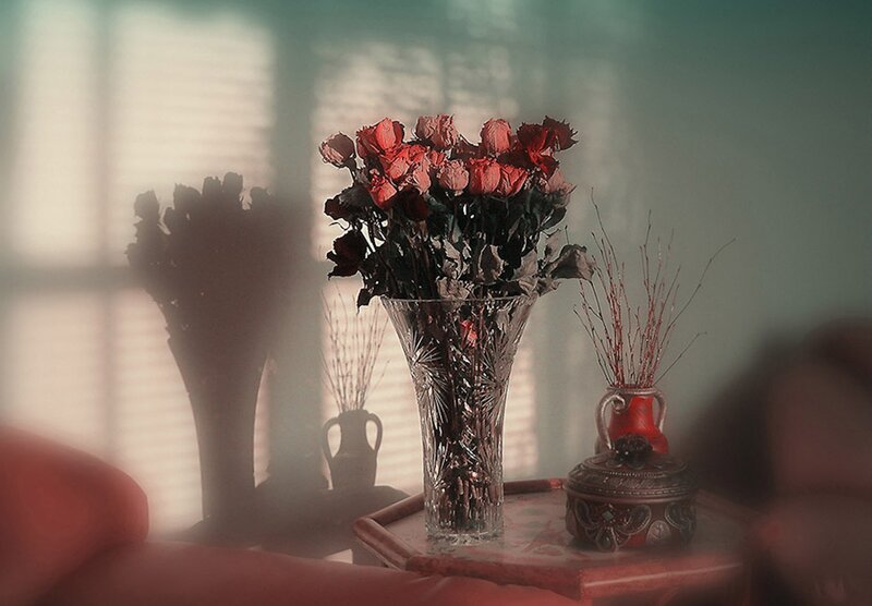Dried Roses in Vase — Red, Serene