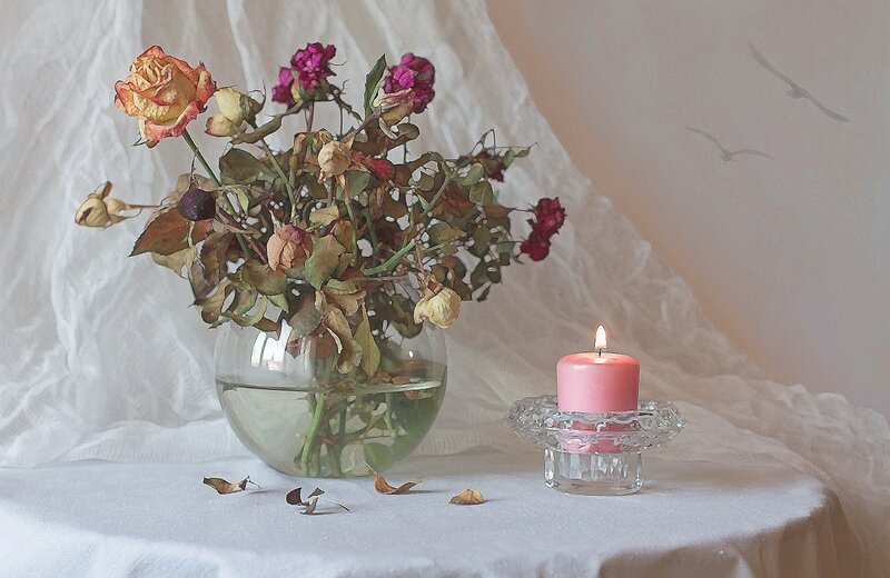 Dried Roses in Vase — White, Serene
