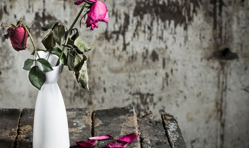 Dried Roses in Vase — White