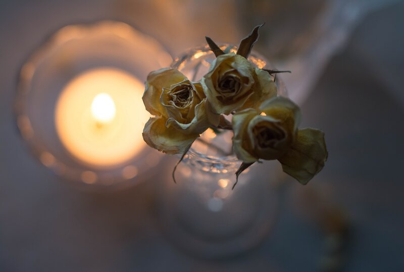 Dried Roses in Vase — Yellow