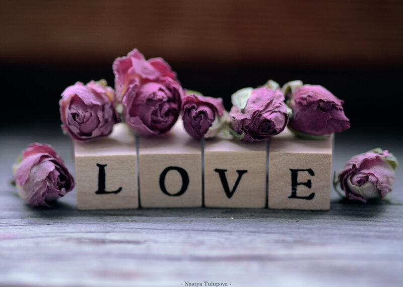 Dried Roses on Blocks — Purple