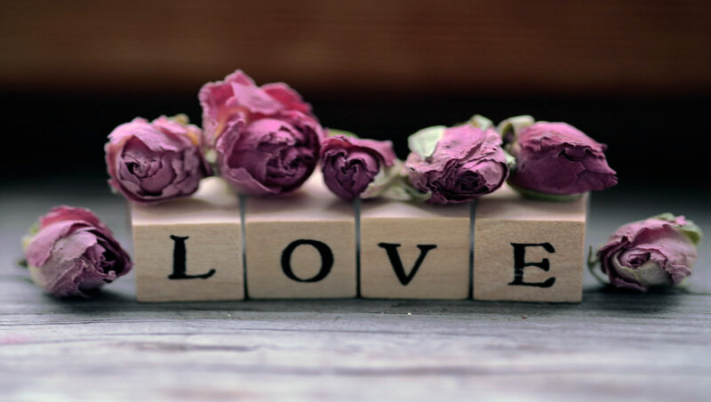 Dried Roses on Blocks