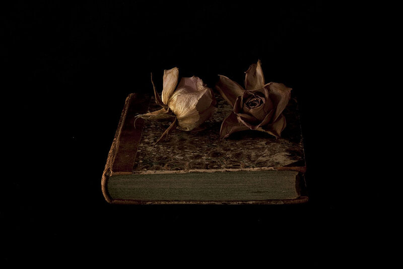 Dried Roses on Book — Black