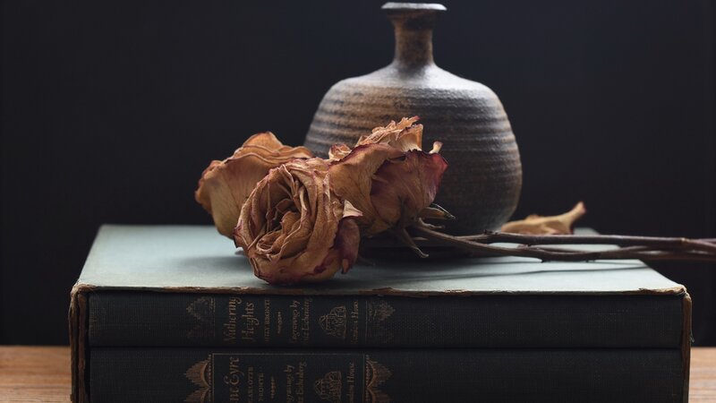 Dried Roses on Books — Black