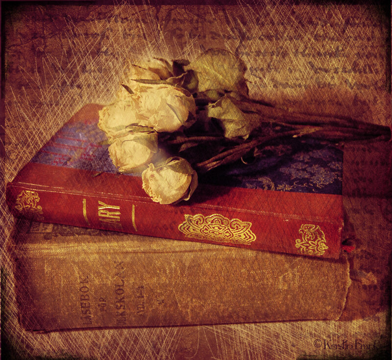 Dried Roses on Books