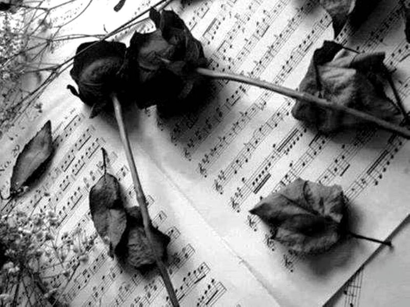 Dried Roses on Sheet Music — Black