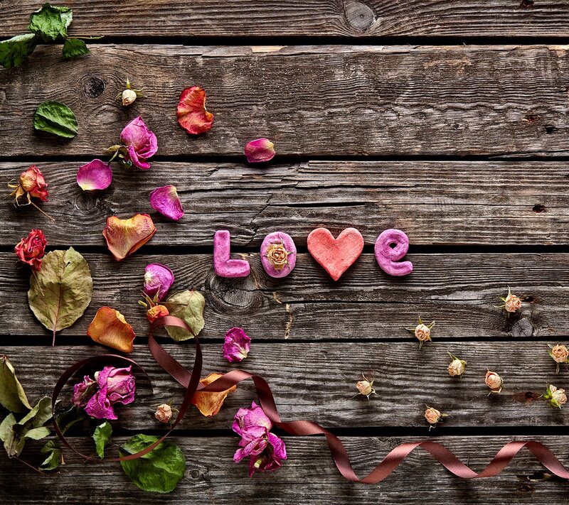 Dried Roses on Wood — Brown, Romantic