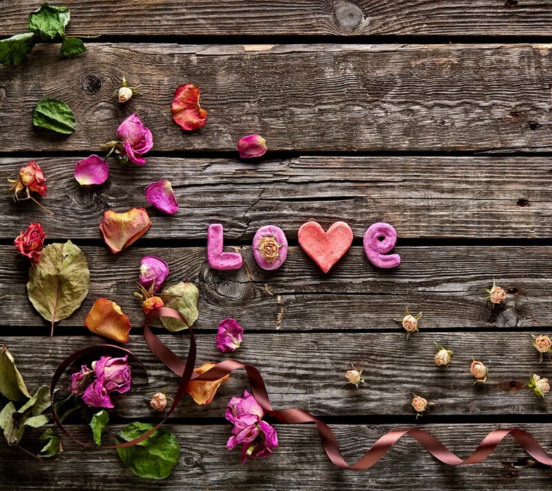Dried Roses on Wood — Brown