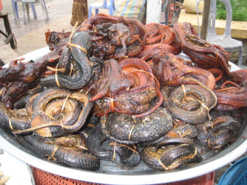 Dried snakes for sale at market