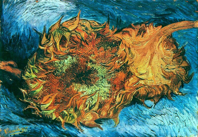 Dried Sunflower Head — Blue