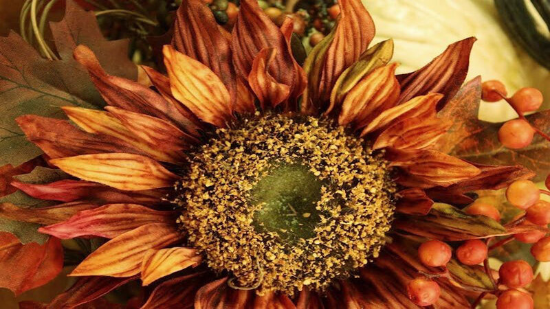 Dried Sunflower Head — Brown, Autumnal