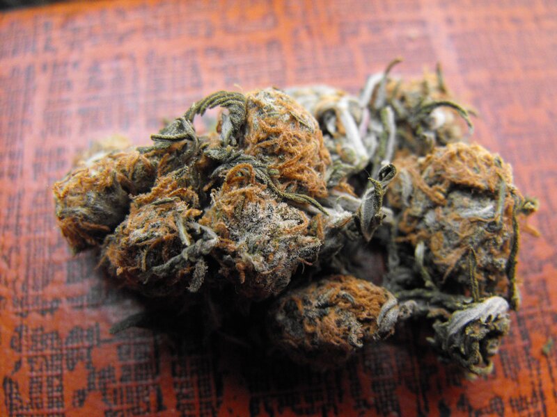 dried tea buds on patterned surface