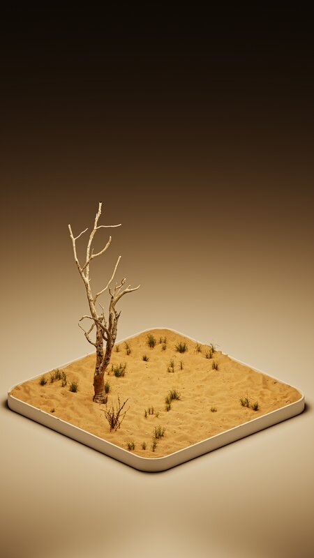Dried Tree in Sand