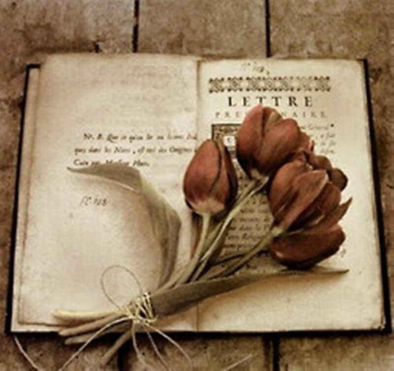 Dried Tulips on Book