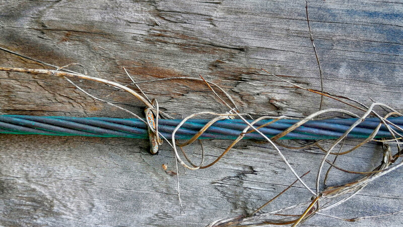 Dried Vine on Cable