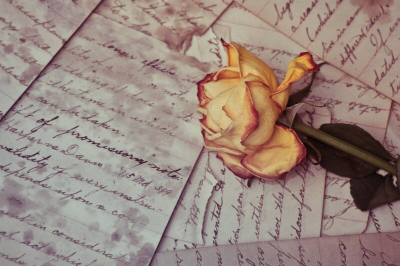 Dried Yellow Rose — Nostalgic