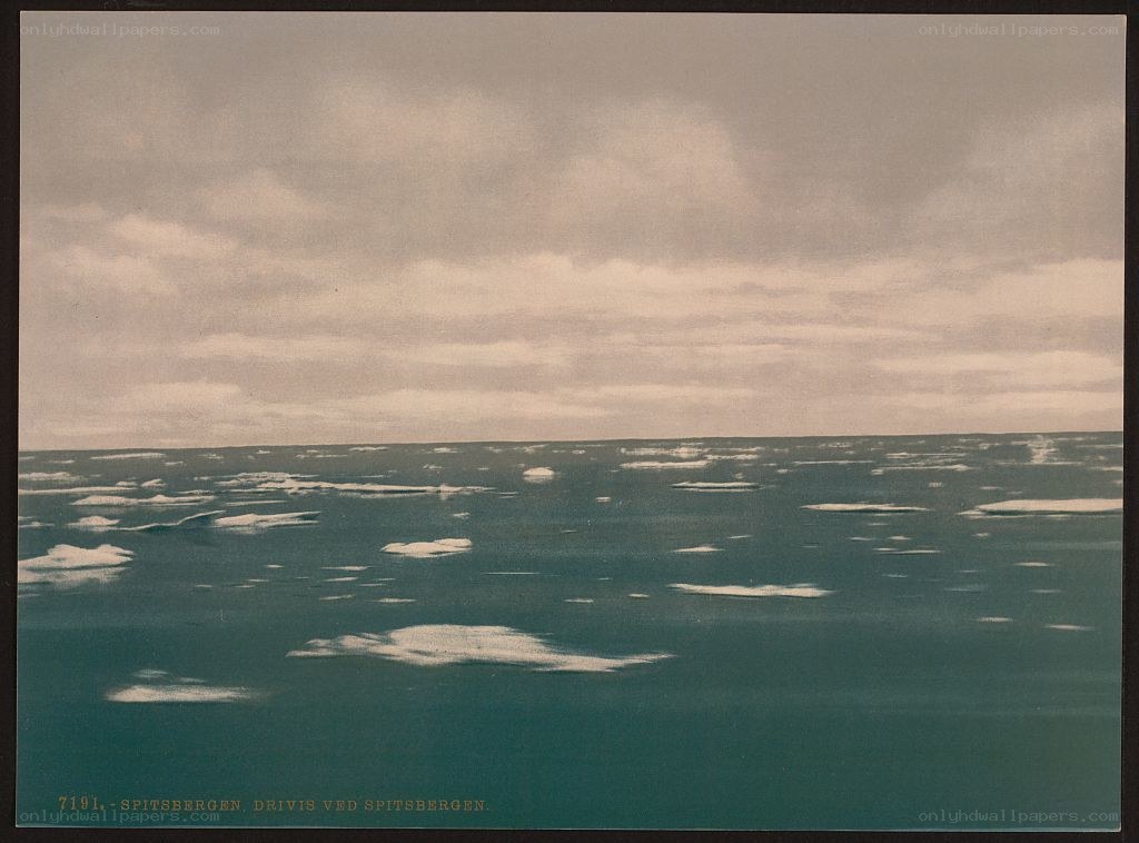 Drift ice near Spitsbergen