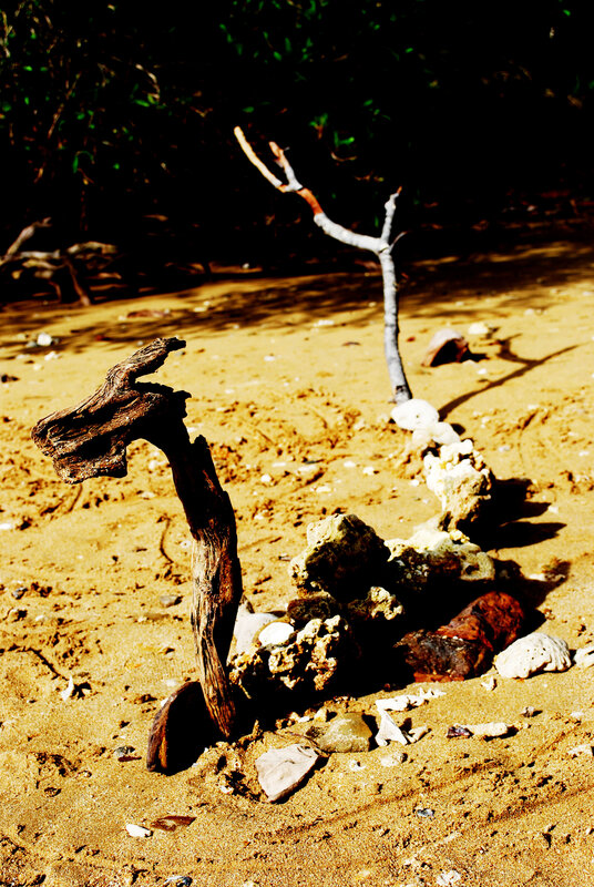 Driftwood and rocks on a beach