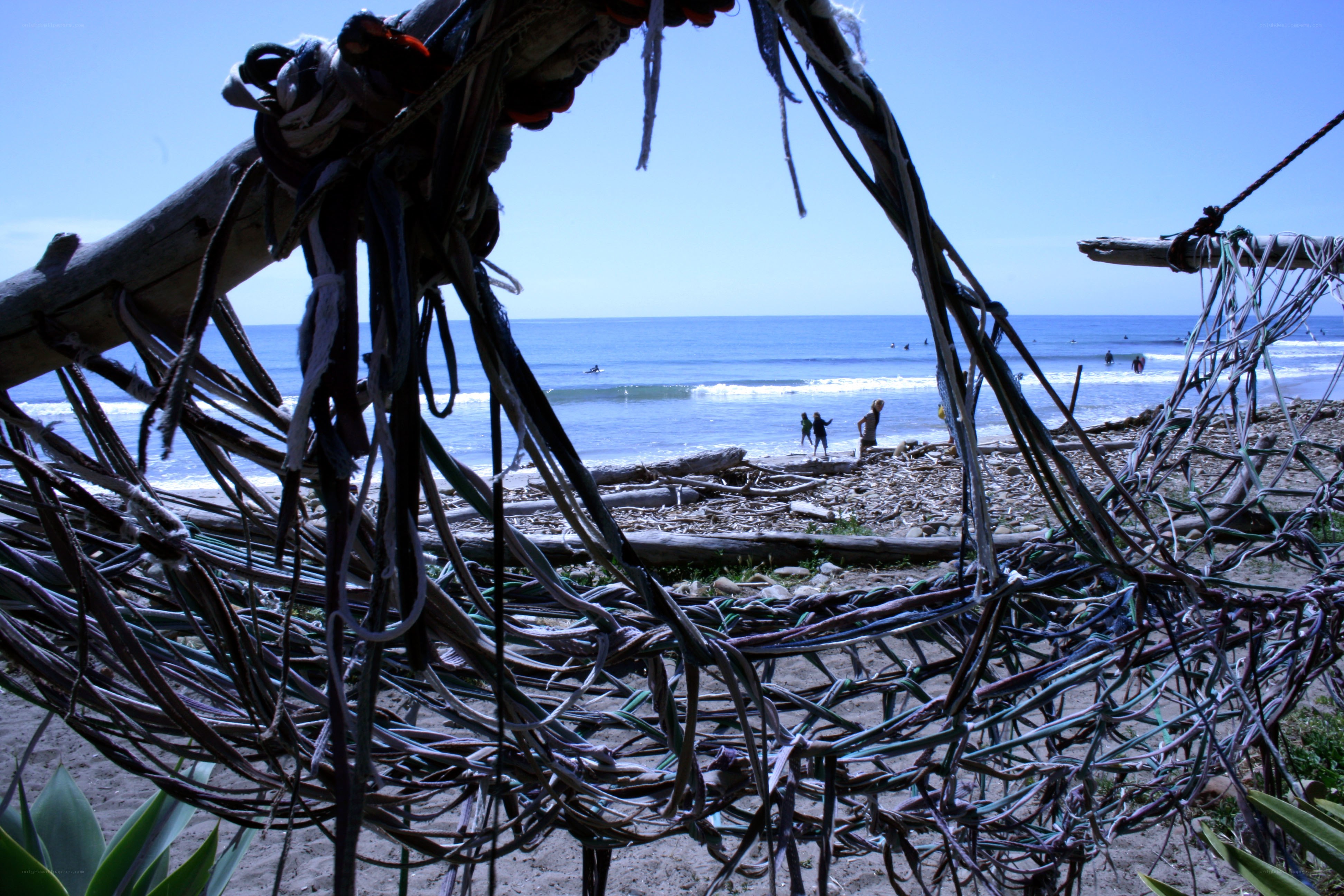 Driftwood and ropes on a beach