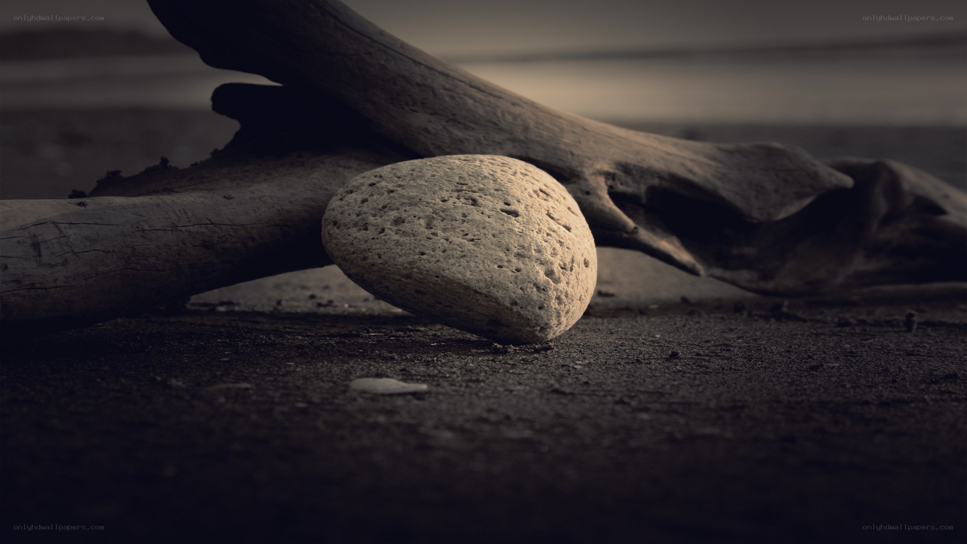 driftwood and stone on beach