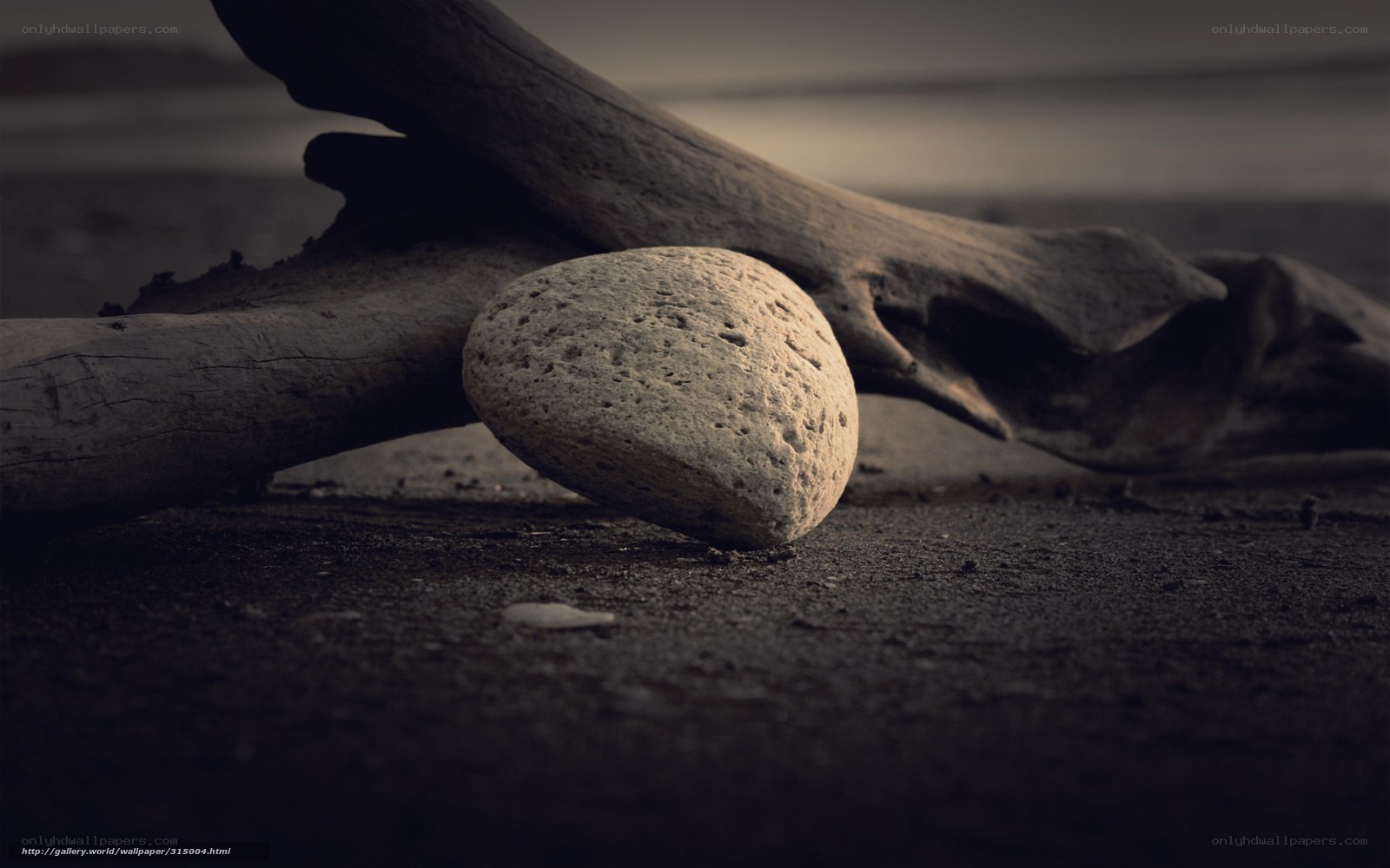 Driftwood and stone on beach