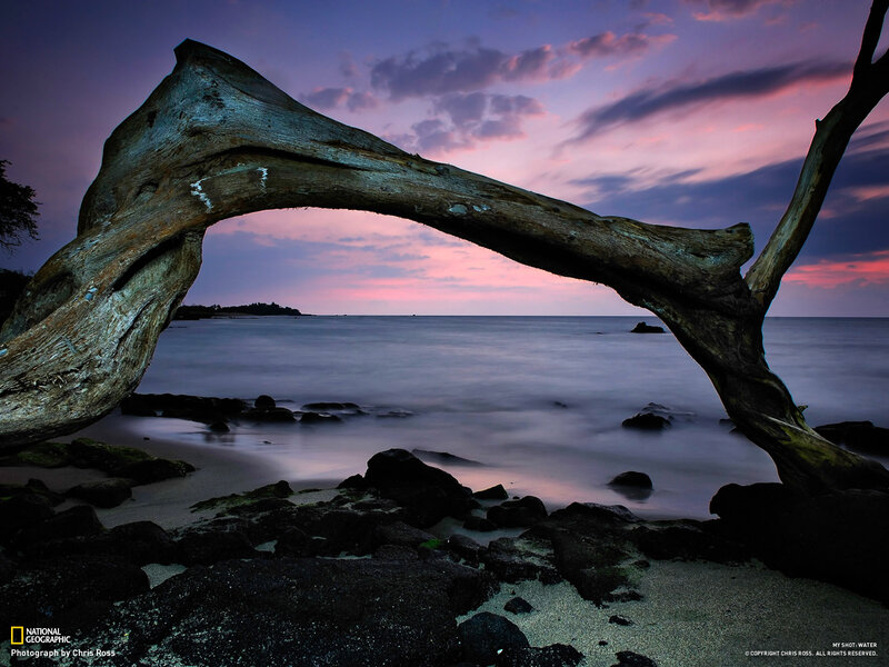 Driftwood Arch at Sunset — Purple, Serene