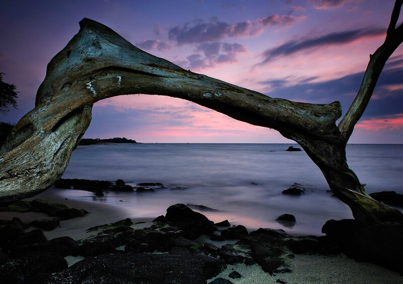 Driftwood Arch at Sunset — Purple