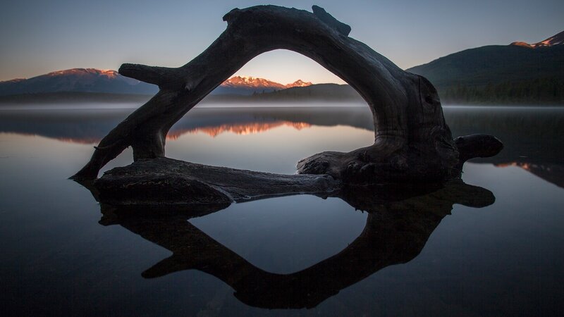 Driftwood Arch in Lake