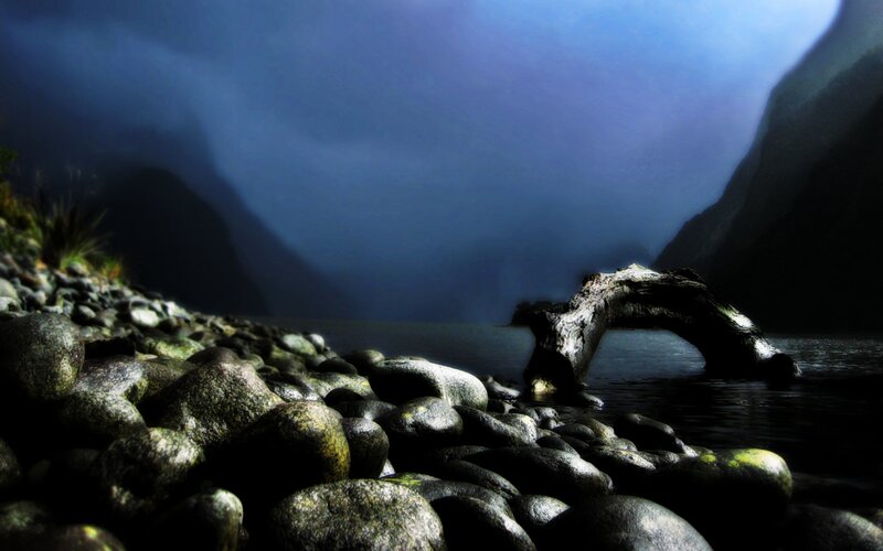 Driftwood Arch in Water