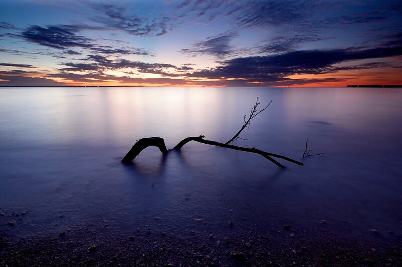 Driftwood at Sunset