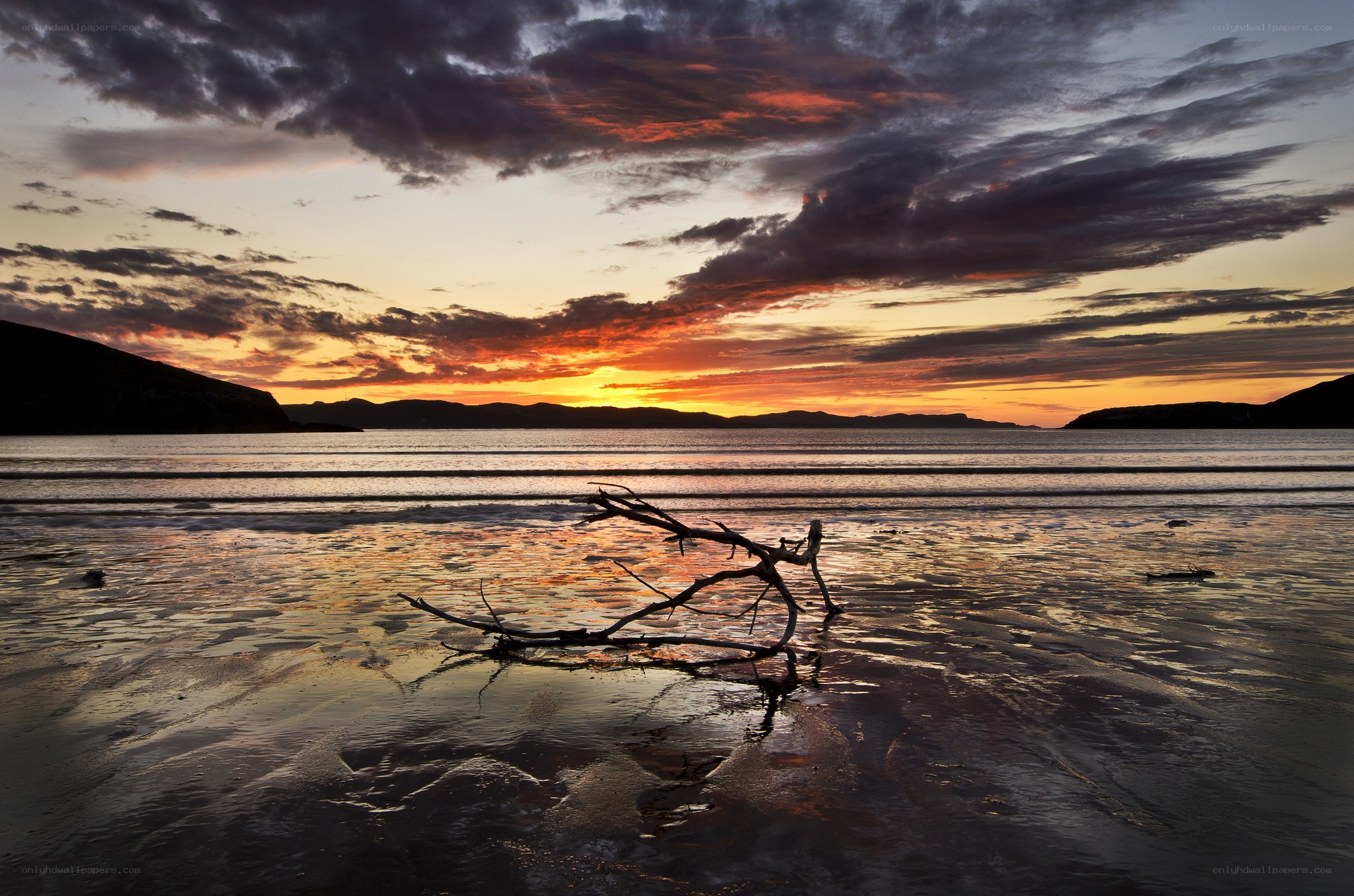Driftwood at sunset on a beach