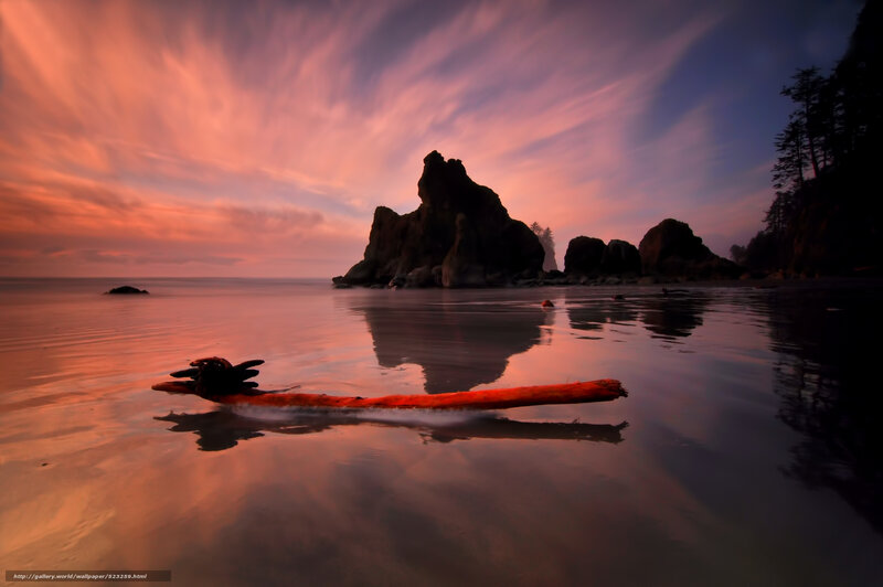 Driftwood at Sunset on the Coast