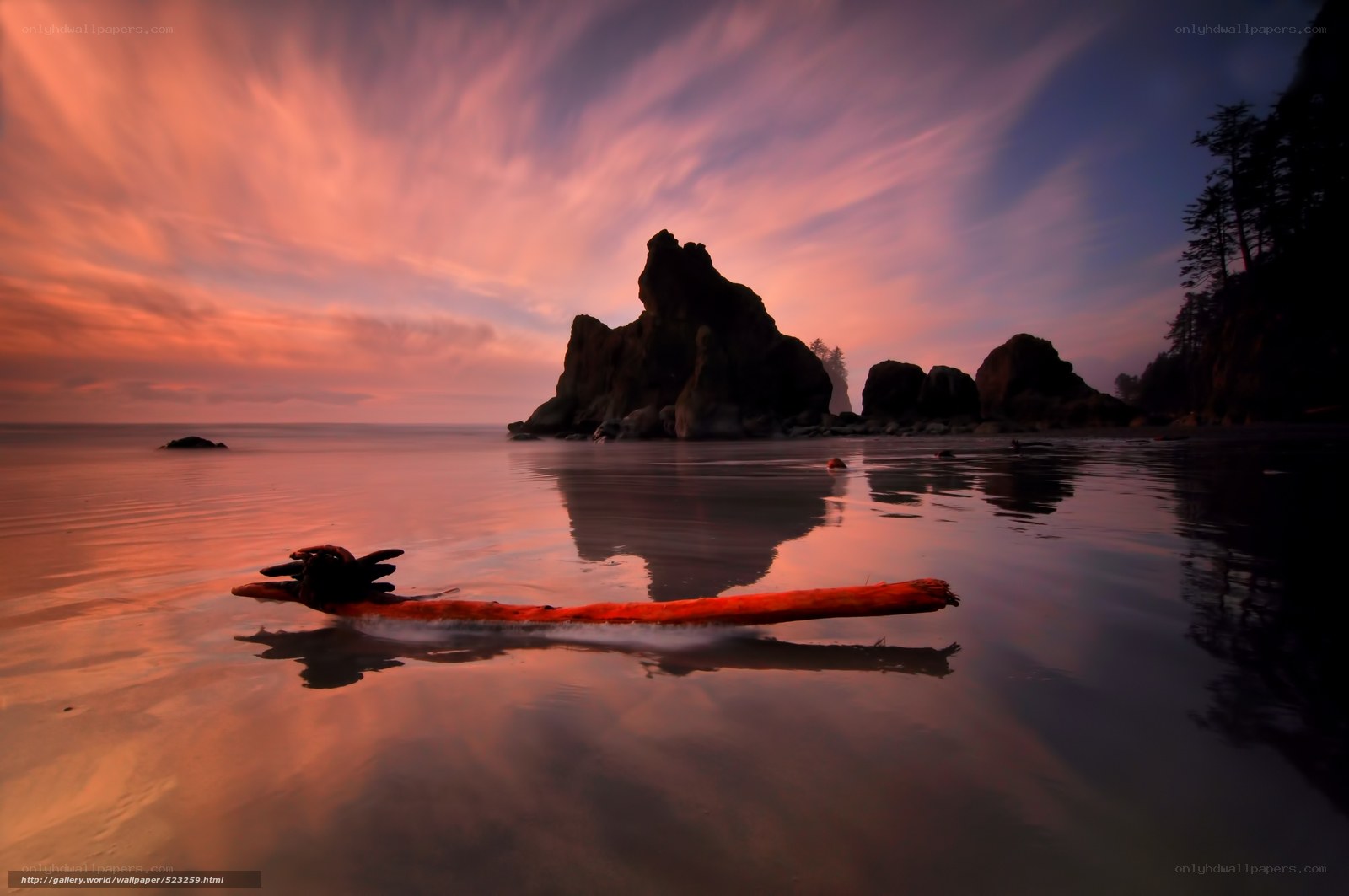 Driftwood at Sunset on the Coast