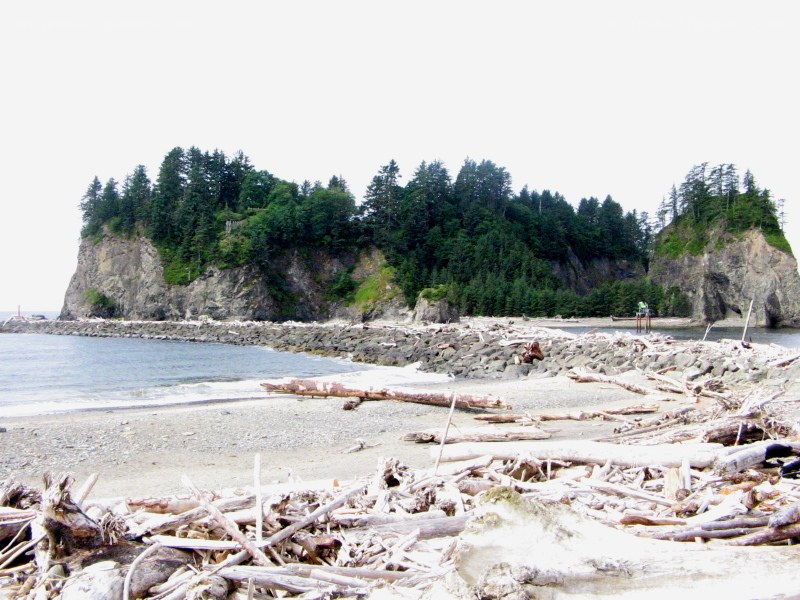 Driftwood beach with forested island