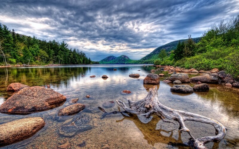 Driftwood by a calm lake