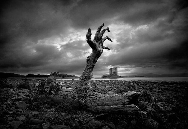 Driftwood Hand Shape