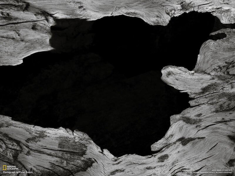 driftwood hollow