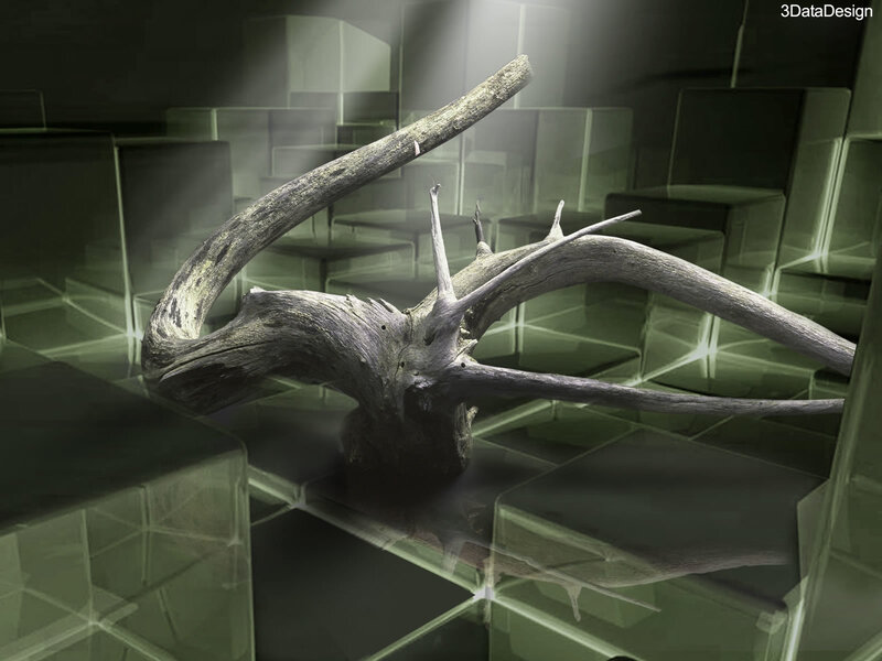 Driftwood in a digital space