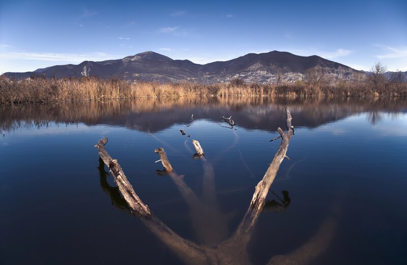 Driftwood in Calm Water — Blue, Serene, Afternoon, Photograph