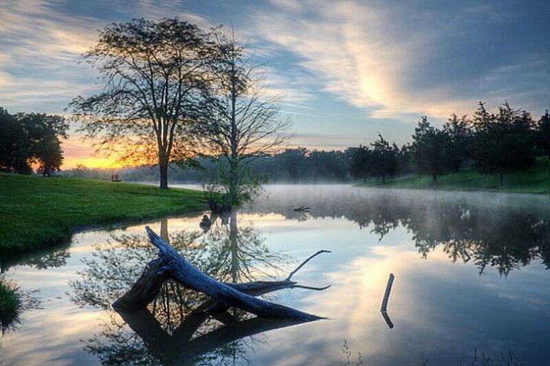 Driftwood in Calm Water — Blue