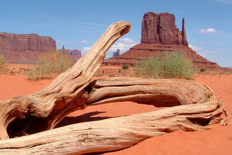 Driftwood in Desert — Red