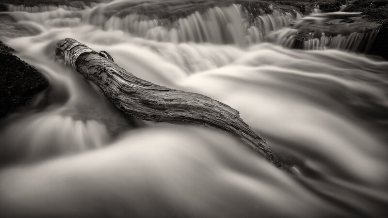 Driftwood in Flowing Water — Black