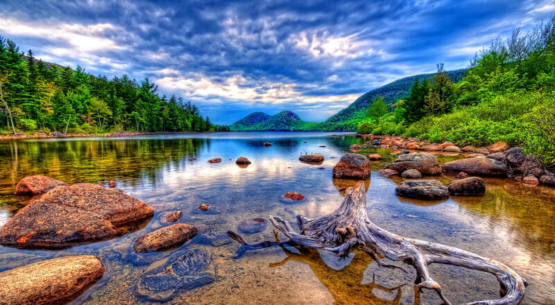 Driftwood in Lake — Blue, Dramatic, Afternoon, Photograph