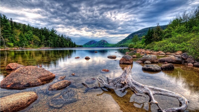 Driftwood in Lake — Blue, Dramatic, Afternoon