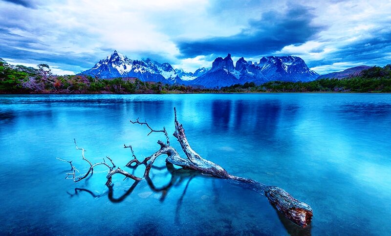 Driftwood in Lake — Blue, Dramatic, Photograph