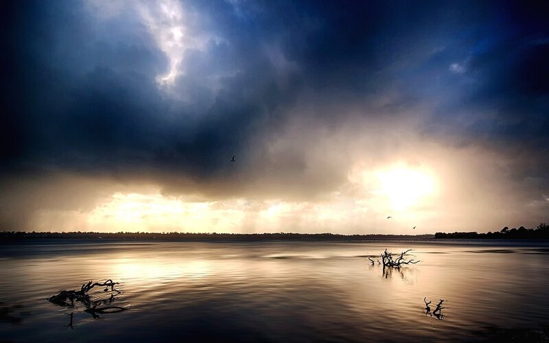 Driftwood in Lake — Blue, Dramatic, Sunset