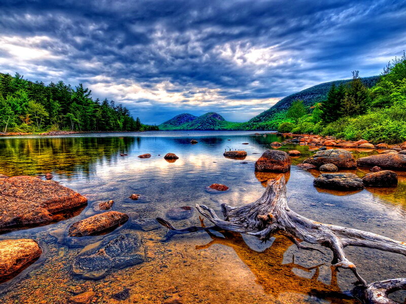 Driftwood in Lake — Blue, Dramatic