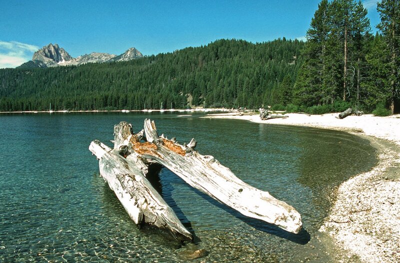 Driftwood in Lake — Blue, Serene, Afternoon, Photograph, Mountains